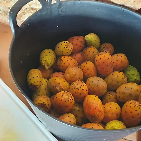 Hétvégi ház La Vista De