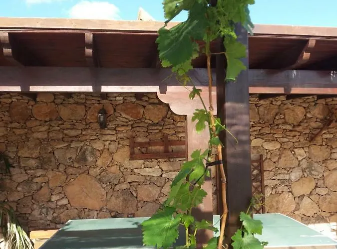 La Vista De * Tefía