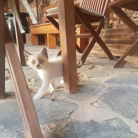 La Vista De 컨트리하우스