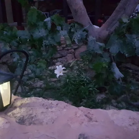 La Vista De 컨트리하우스 *