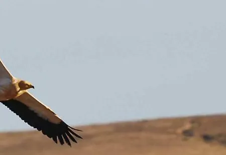 컨트리하우스 La Vista De *