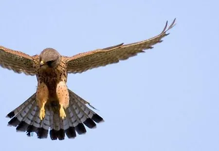 La Vista De 컨트리하우스